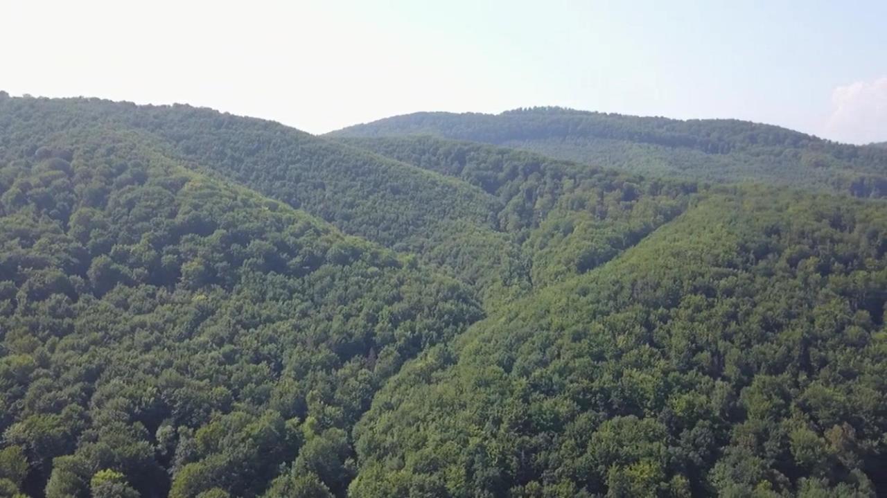 Villa Med'OK Vyžnycja Esterno foto